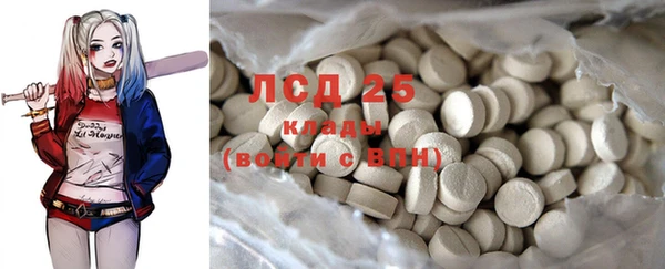 твердый Ельня
