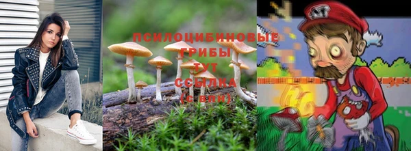 кристаллы Дмитриев