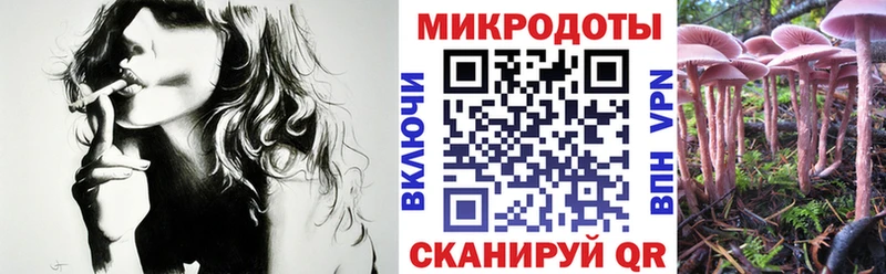 Псилоцибиновые грибы Psilocybe  KRAKEN рабочий сайт  Донской 